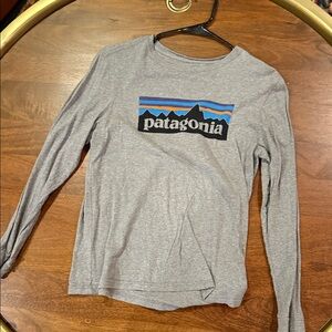 Patagonia Heather Gray Long Sleeve with Mountain Logo